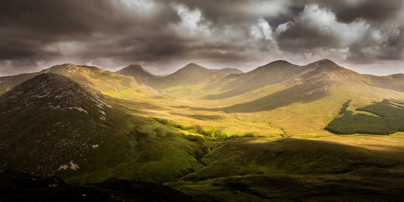 从工业应用到健康革命：桂宝粉末与益生元/益生菌的协同作用，打造新一代肠道健康食品