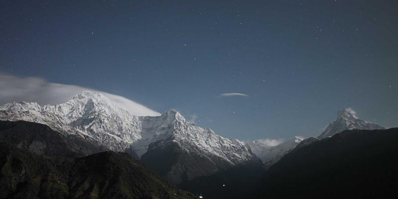 从源头到终端：供应链视角下桂宝粉末溯源体系构建与品质保障关键点解析