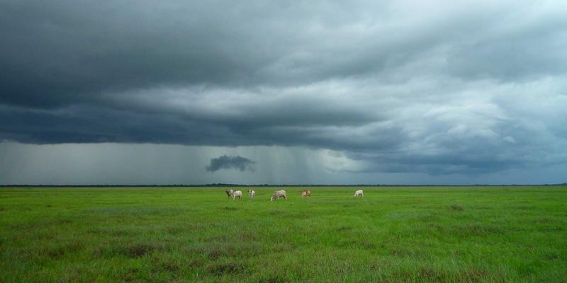 感官组学赋能：构建桂宝粉末风味轮，解码金属粉末材料的消费者偏好密码