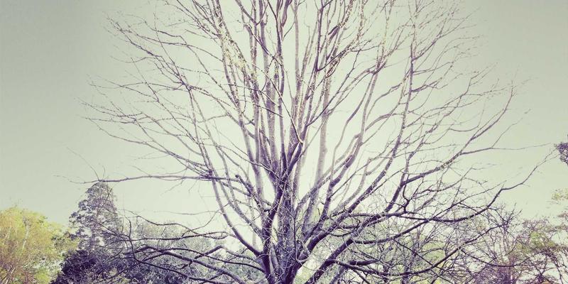 攻克桂宝粉末静电难题：复合材料高效自动包装的全面解决方案