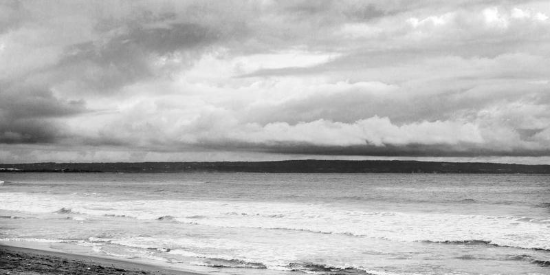 桂宝粉末：从工业制品到宠物营养功能性零食的创新应用机遇