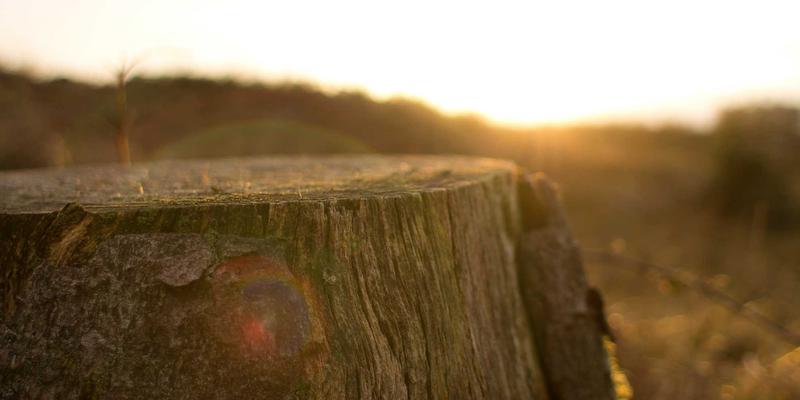 桂宝粉末储存方法大全：如何让陶瓷粉末香气长久不散的专业指南