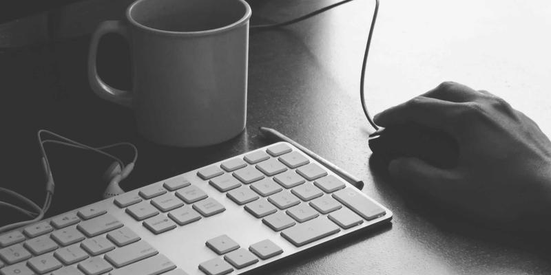 桂宝粉末在功能性食品开发中的创新应用：解锁抗氧化与代谢调节双重潜力