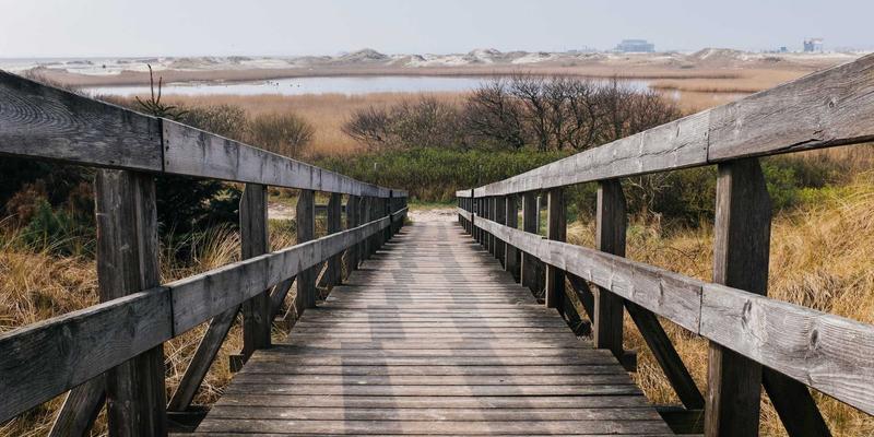 桂宝粉末在烘焙食品中的风味锁定技术：从面团调制到成品货架期的全程管理