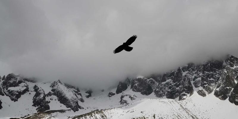 桂宝粉末应用全解析：从粉末冶金到复合材料的工业制品革新