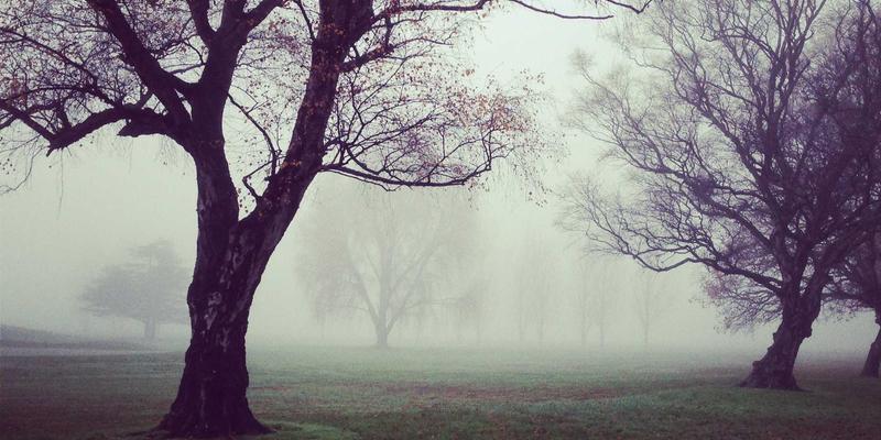 桂宝粉末应用全解析:粉末冶金与陶瓷粉末的最佳实践指南
