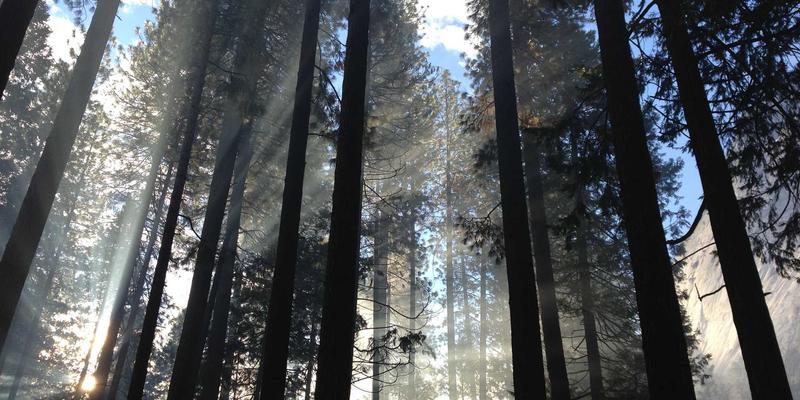 桂宝粉末：解锁复合材料与粉末冶金技术的新潜能