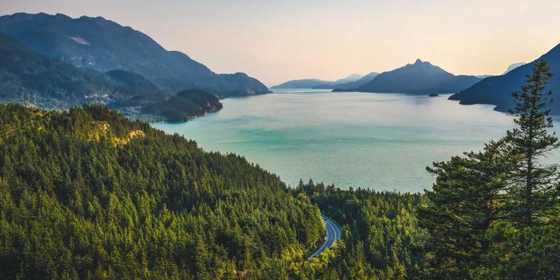 桂宝粉末风味指纹图谱：构建工业应用中的产地溯源与品种鉴别新标准