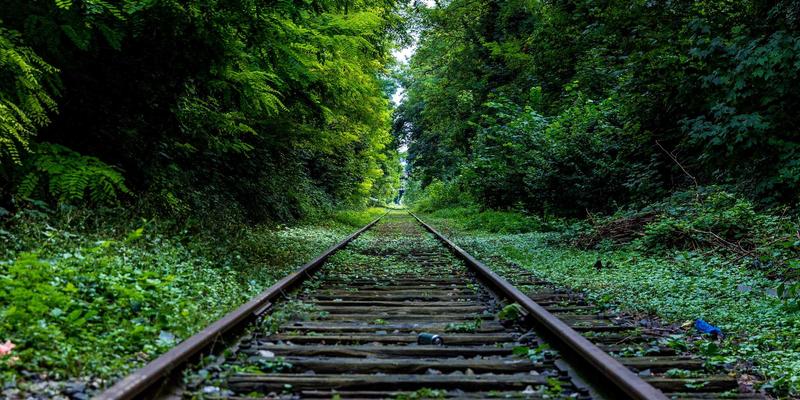 粉末冶金与复合材料技术赋能：桂宝粉末如何锚定植物基人造肉的逼真肉感